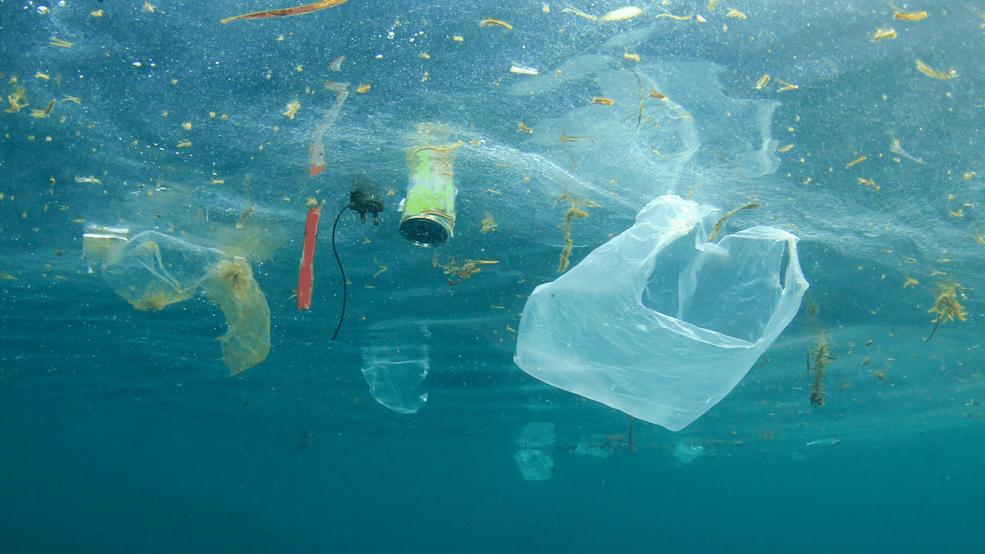プラスチッククレジット開発・調達